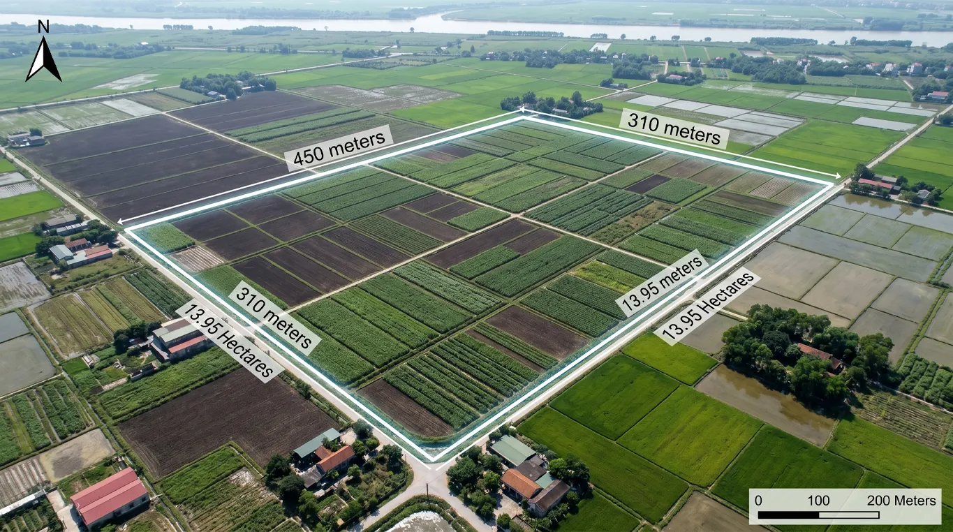 Chụp ảnh đất nền từ trên cao góc thẳng đứng vuông góc