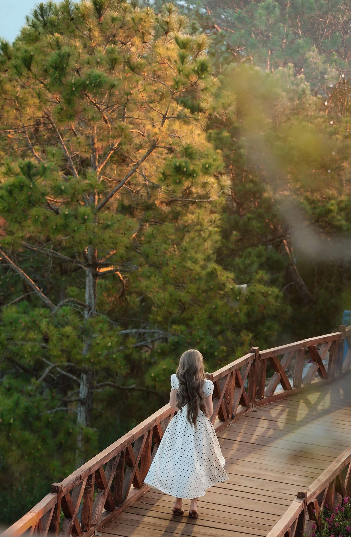 Cầu gỗ tuyệt đỉnh của Lạc Hư Cổ Trấn